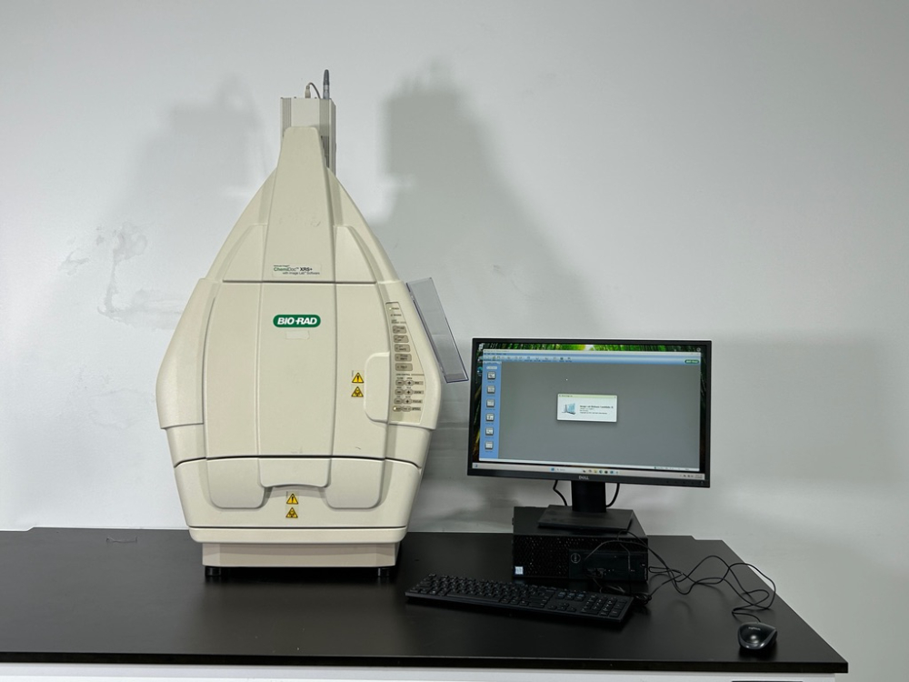 Image of Bio-Rad ChemiDoc XRS+ Universal Hood